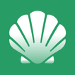 DailySpend: Expense Tracker icon