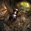 Ant Simulation 3D APK