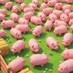 Piggy Escape icon
