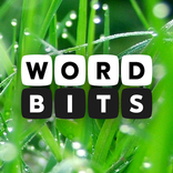 Word Bits: A Word Puzzle Game