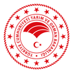 Ava Memur icon