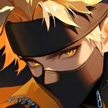 Ninja NewEra