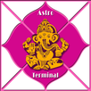 AstroTerminal APK