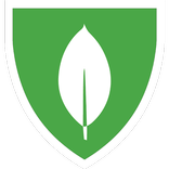 MongoDB University