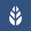 MoreApp Forms icon