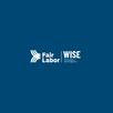 WISE (Worker Insights) APK