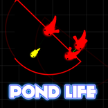 Pond Life
