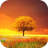 Awesome-Land Pro Livewallpaper