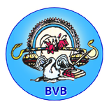 Bharti Vidhya Bhawan Banswara
