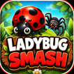 Ladybug Smash icon