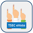 TSEC eVote icon