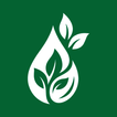 Nabaa icon