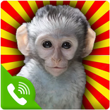 Call from Monkey