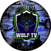 WolfTv Player 2 APK