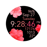 Animated Pink Flowers