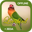 Masteran Burung Lovebird Offli APK
