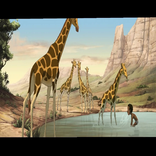 Giraffe Wallpapers