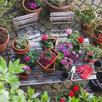 Gardeners.com APK