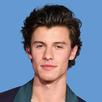 SHAWN MENDES ALL SONGS MUSIC OFFLINE APK