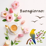 Buongiorno, Buonanotte