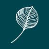 Alamora Community App APK