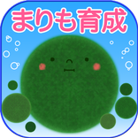 Marimo bleeding