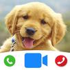 Cute Dog Prank Call - Fake Cal APK