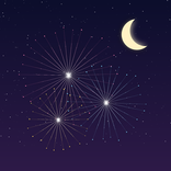 Wish Fireworks: Firework Show