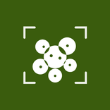 Mold Identifier