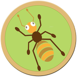 Amazing Ant
