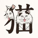 Kanji Widget