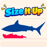Size It Up: Guess the Size