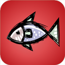 APK Fishing NY - Stocking Report