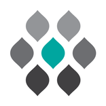 MFASOFT