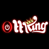 OttKing Pro Edition APK