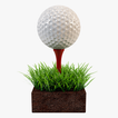 Mini Golf Club icon