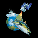 SeaView Mobile APK