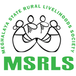 MSRLS HR