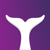 Onirix Spatial APK