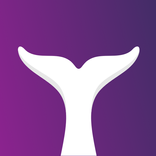 Onirix Spatial