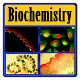 Basic Biochemistry