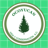 Ocoyucan Lens