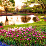 Garden HD Wallpaper
