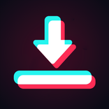 Video downloader for TT