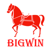 Live4D BigWin APK