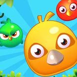 Clash of Birds