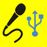 USB Audio Recorder (No delay)