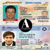 Driver's license APK