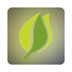 Icona Mobile Foundry
