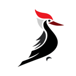 Woodpecker